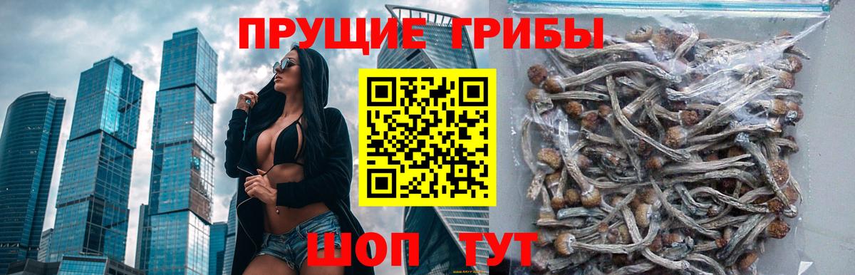 Галлюциногенные грибы Magic Shrooms  Вход с VPN  Знаменск 